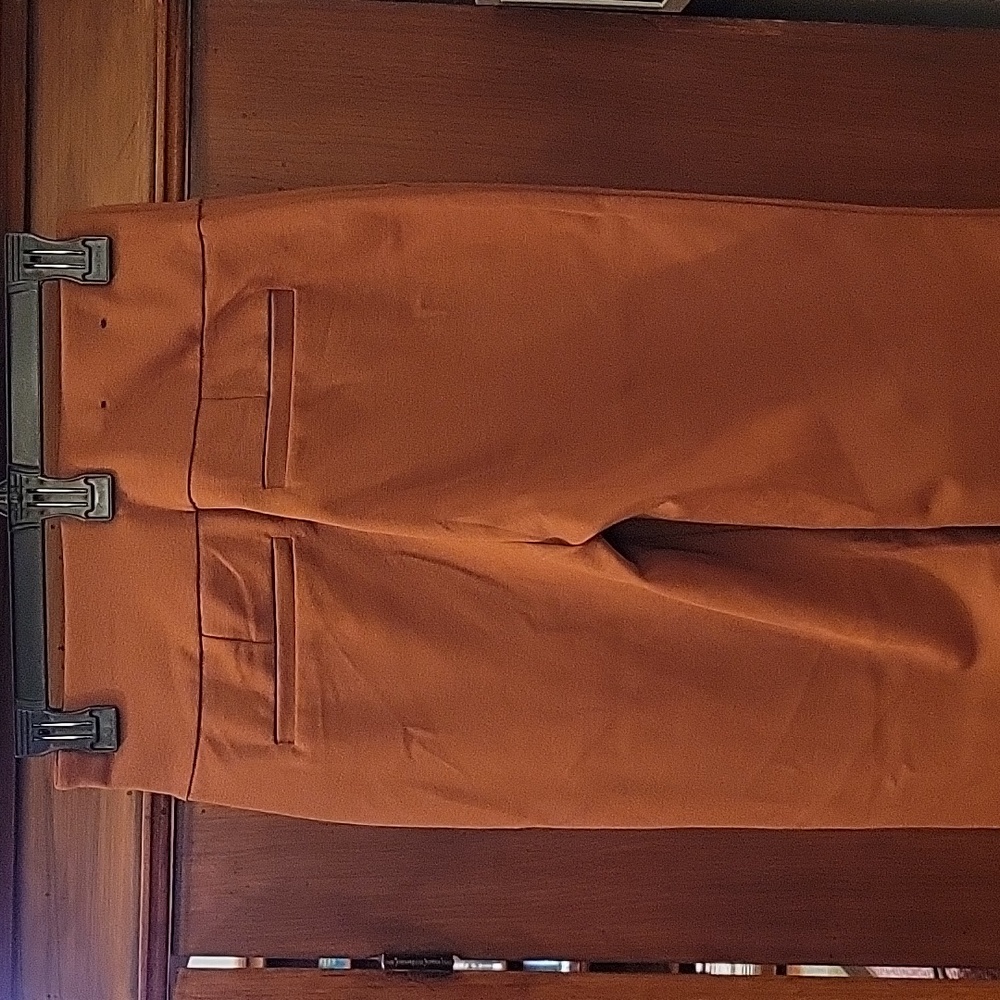 Dear Scarlett | Magic Straight Slim Pull On Pants in Rust - Size Small - Picture 5 of 9